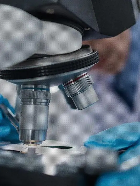 Vi-Tech Global-এর প্রতিষ্ঠানের গল্প ও উৎপাদন পটভূমি