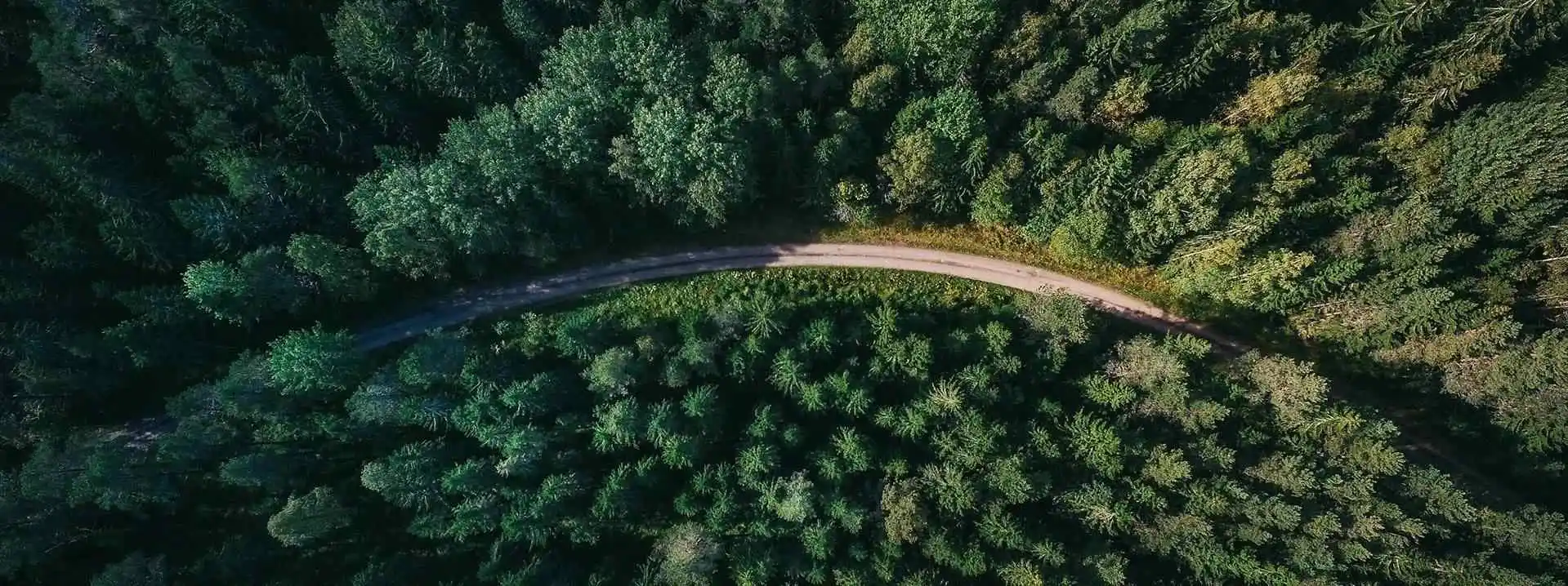 Sustainability