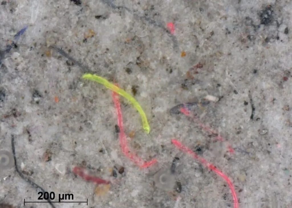 microplastic fibers