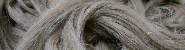 Linen Fiber