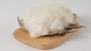 Basic Properties of Kapok Fiber