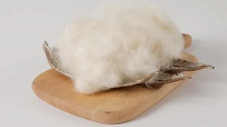 Basic Properties of Kapok Fiber