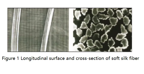 Longitutinal surface and cross-section of soft silk fiber