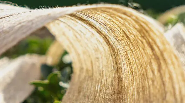 natural plant fibers