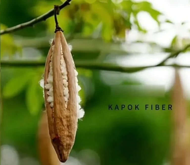 kapok fiber